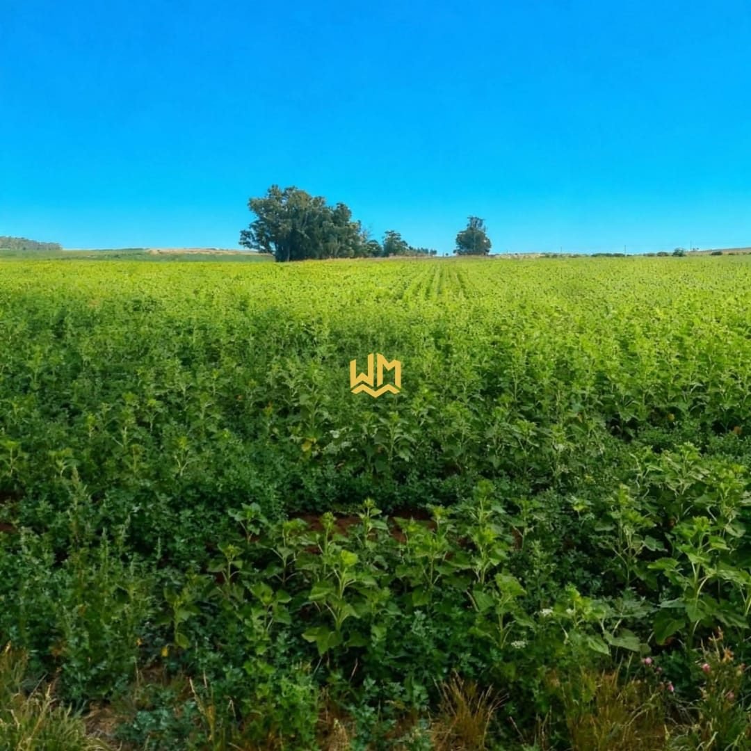 CAMPO EN VENTA