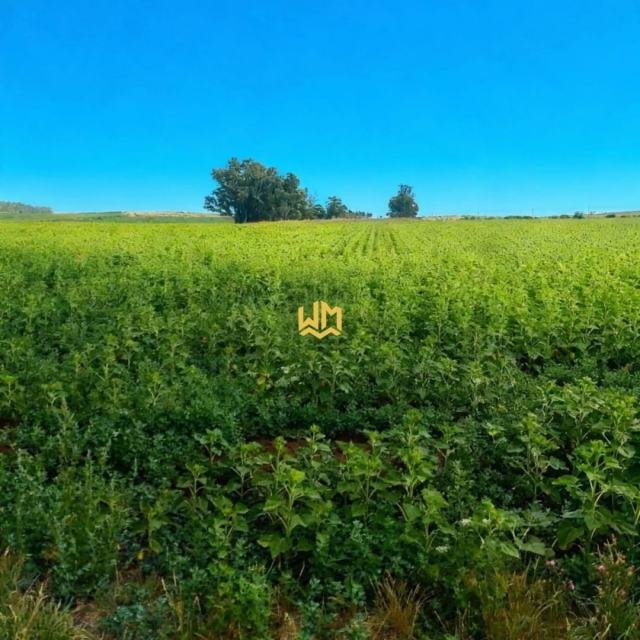 CAMPO EN VENTA