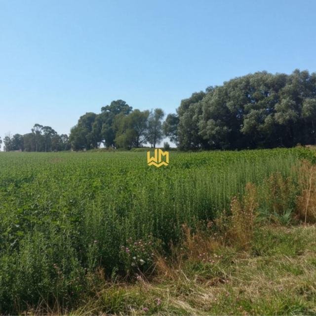 CAMPO EN VENTA