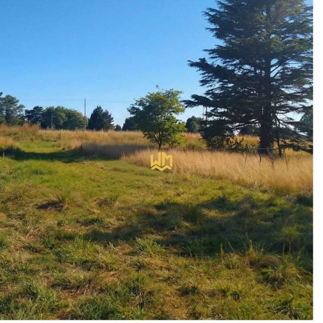 CAMPO EN VENTA